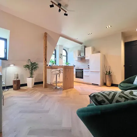 Aussergewoehnliche Stadtvilla * 普劳恩