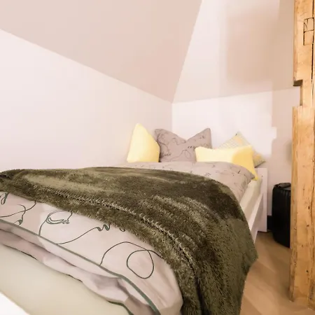 Aussergewoehnliche Stadtvilla Appartement Plauen