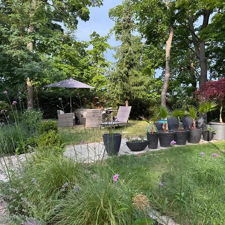 Aussergewoehnliche Stadtvilla * Plauen